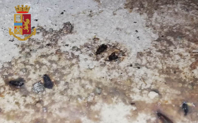 A San Salvario locale chiuso e oltre 30 mila euro di multa al titolare: ritrovate blatte tra gli alimenti