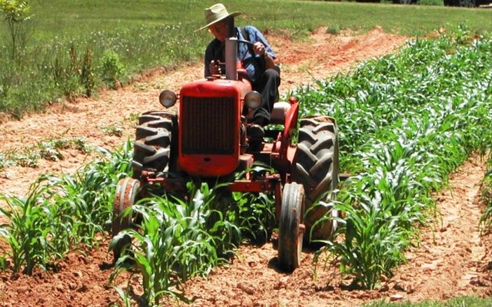 agricoltore - foto d'archivio