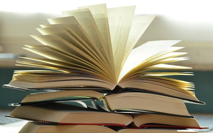 I torinesi e la lettura: solo uno su dieci legge un libro al mese I torinesi e la lettura: solo uno su dieci legge un libro al mese