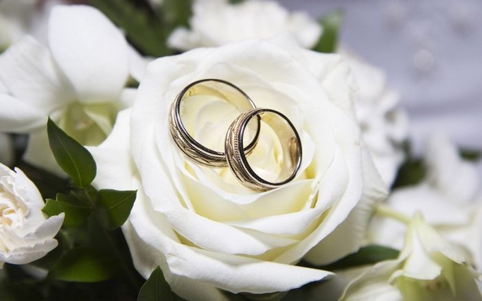 Il Coronavirus manda in ginocchio i matrimoni dei torinesi: 308 milioni di "dote" bruciati da qui ad agosto Il Coronavirus manda in ginocchio i matrimoni dei torinesi: 308 milioni di "dote" bruciati da qui ad agosto