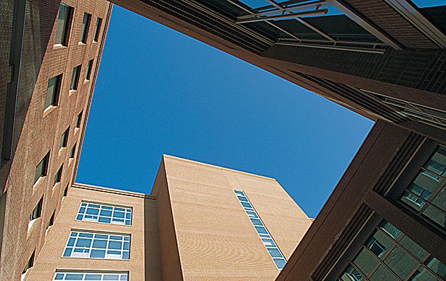 Da Candiolo una speranza contro il tumore del colon-retto: Da Candiolo una speranza contro il tumore del colon-retto: