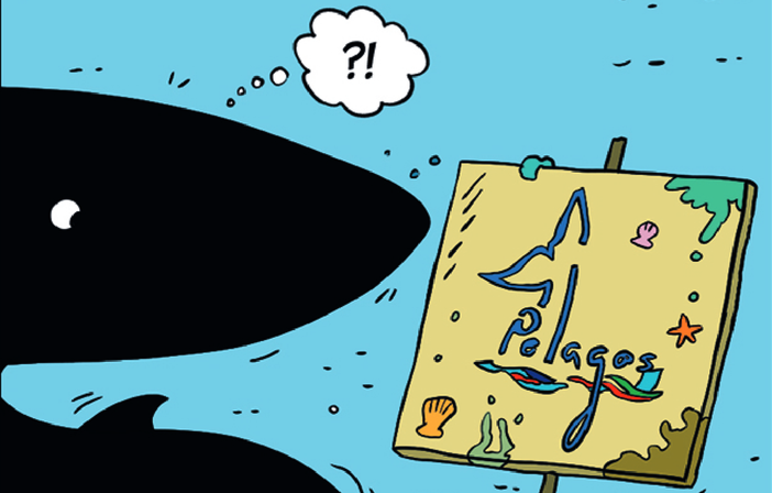 “Io sono Balenottera”: la balena parlante che racconta il Santuario Pelagos