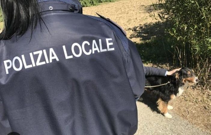 foto di archivio