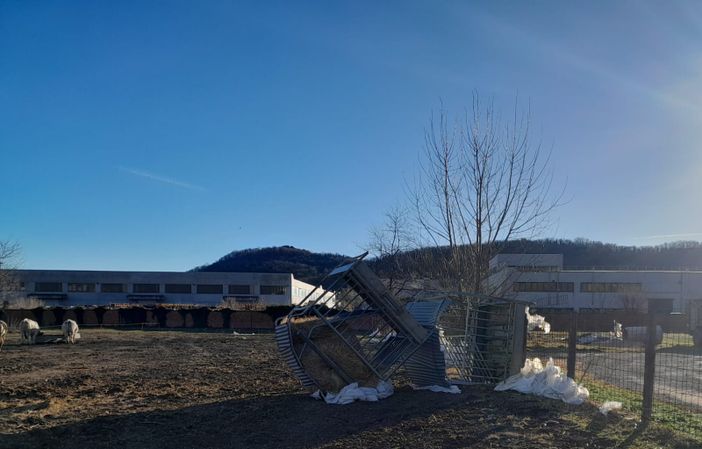 danni per il vento in aziende agricole