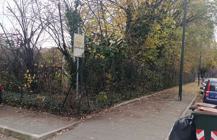 Il marciapiede è invaso dalle erbacce, la pulizia tocca ai privati