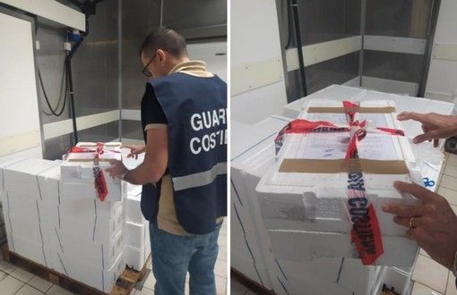 Nel Torinese multa da diecimila euro per prodotti ittici scongelati e scaduti Nel Torinese multa da diecimila euro per prodotti ittici scongelati e scaduti