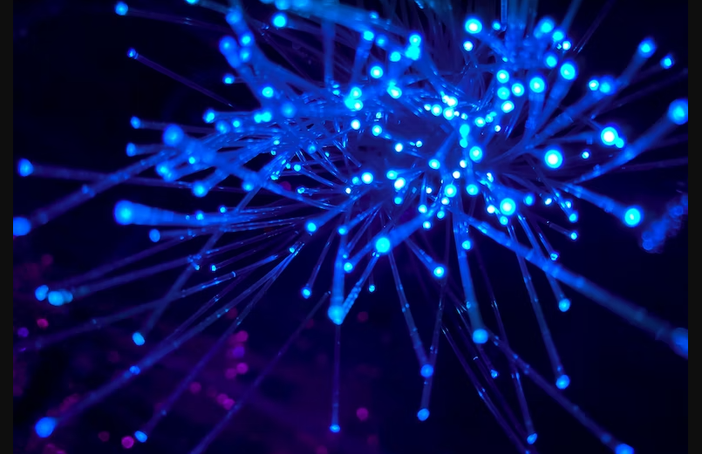 Economia digitale, migliora l'uso delle tecnologie in Italia ma resta il nodo competenze