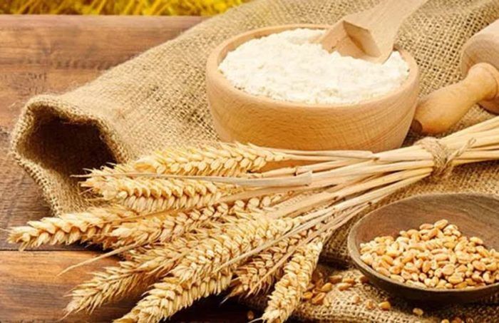 Coldiretti: «Dal progetto di filiera “Gran Piemonte” in arrivo 300mila quintali di frumento tenero»