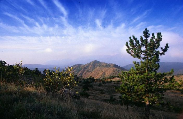 Parchi, Carosso asupica che diventino aziende per sviluppare il turismo