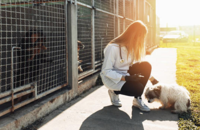 Apre un nuovo supermercato che supporterà le associazioni impegnate nel sociale e ai quattrozampe in difficoltà Apre un nuovo supermercato che supporterà le associazioni impegnate nel sociale e ai quattrozampe in difficoltà