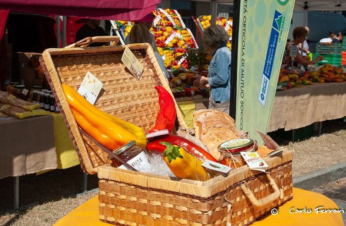 Carmagnola, la Fiera del Peperone 2020 alza il sipario sui produttori del territorio Carmagnola, la Fiera del Peperone 2020 alza il sipario sui produttori del territorio