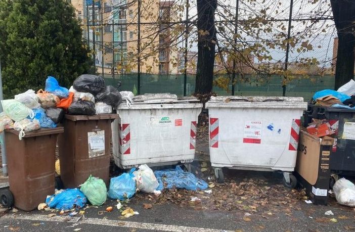 rifiuti nichelino - foto di archivio