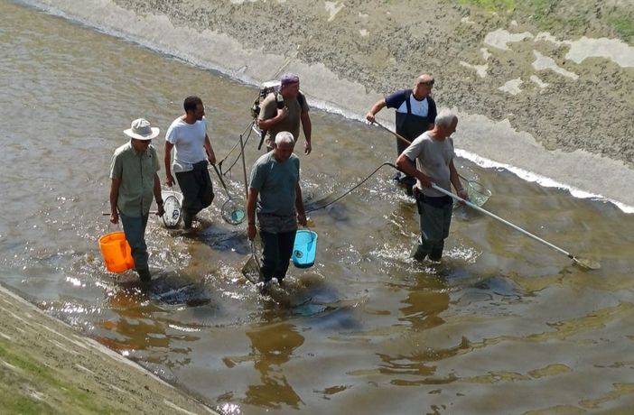 Rimossi i rifiuti dal canale Moncalieri-La Loggia e "spostati" i pesci nel Po Rimossi i rifiuti dal canale Moncalieri-La Loggia e "spostati" i pesci nel Po