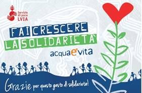Con l’associazione LVIA "Fai crescere la solidarietà" Con l’associazione LVIA "Fai crescere la solidarietà"