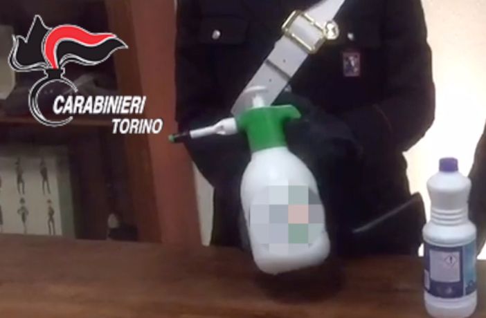 Furti nelle case e in auto, presa la “banda dell’ammoniaca”: con lo spray stordivano i cani da guardia Furti nelle case e in auto, presa la “banda dell’ammoniaca”: con lo spray stordivano i cani da guardia