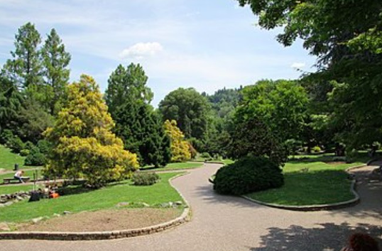 Marchi e Ambrogio (FdI) contro il progetto di Renken Onlus: "Scure della cancel culture sul Valentino" Marchi e Ambrogio (FdI) contro il progetto di Renken Onlus: "Scure della cancel culture sul Valentino"