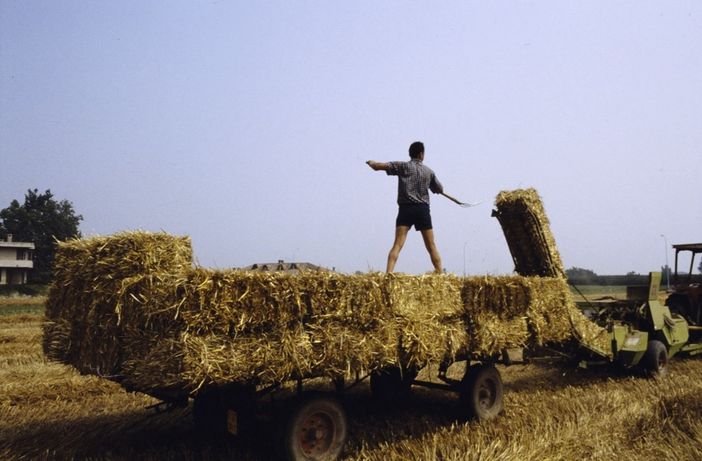 Film in quota, musica e tante mostre: cosa fare a Torino fino a domenica 10 agosto