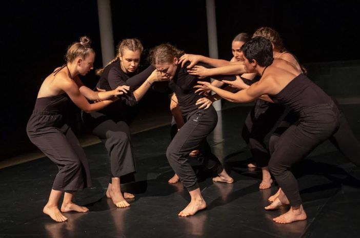 Palissade alla Lavanderia a Vapore di Collegno