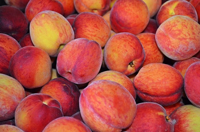 Tradizioni e sapori nella Sagra della Pesca Ripiena a Vauda di Rocca Canavese