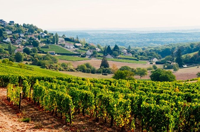 Con &quot;Terroir&quot; alla scoperta dei territori vitivinicoli di San Giorgio e del Canavese
