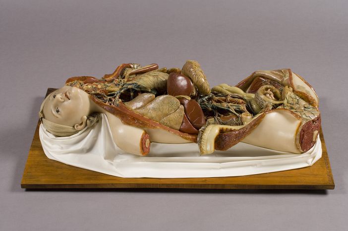 Riapre il Polo Museale del Palazzo degli Istituti Anatomici: entrata gratuita fino al 18 luglio Riapre il Polo Museale del Palazzo degli Istituti Anatomici: entrata gratuita fino al 18 luglio