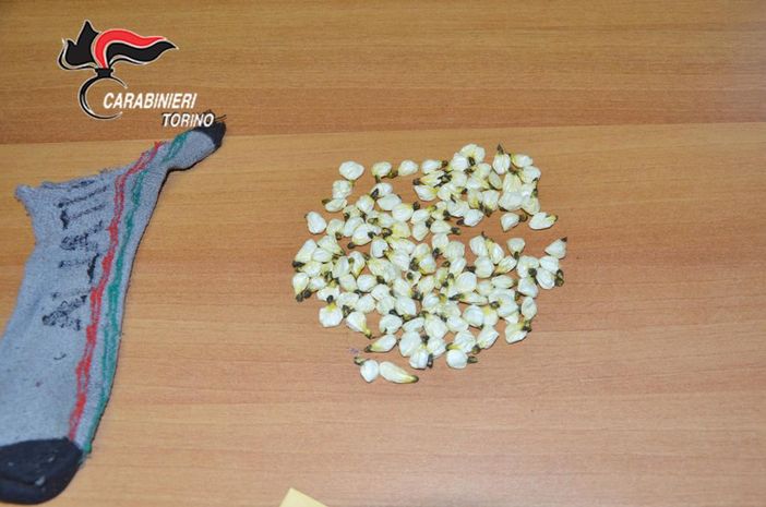 Al Valentino il &quot;deposito di cocaina&quot; era un calzino nascosto in una buca: tre arresti [FOTO e VIDEO]