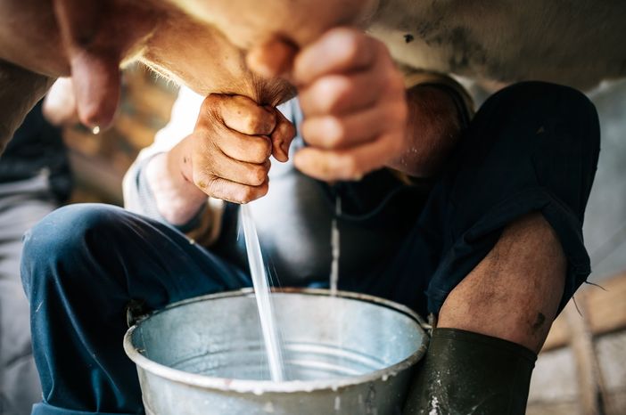Coldiretti Piemonte: “La Regione convochi il tavolo-latte per un confronto con gli industriali”