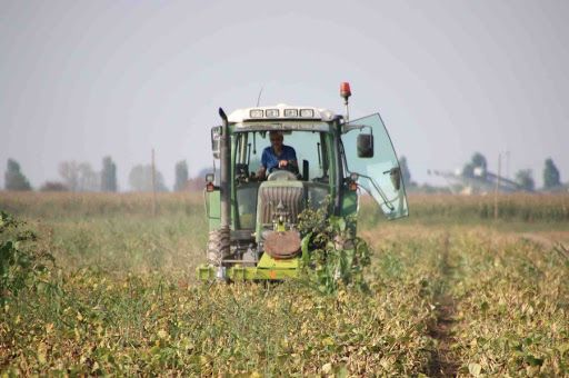 Emergenza coronavirus, Coldiretti Piemonte: "Intervenire per salvare l'economia agricola” Emergenza coronavirus, Coldiretti Piemonte: "Intervenire per salvare l'economia agricola”