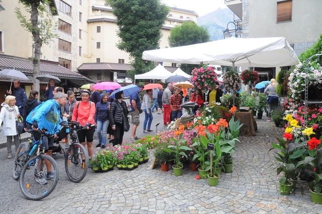 Il 14 luglio Bardonecchia diventa un giardino a cielo aperto con Flor Estate Il 14 luglio Bardonecchia diventa un giardino a cielo aperto con Flor Estate