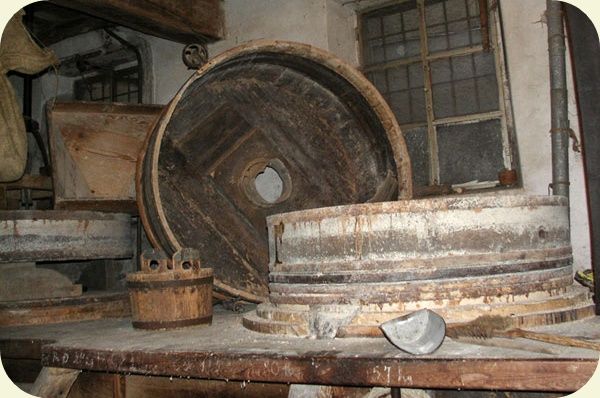 Dal 7 al 10 giugno la Festa patronale di Fenile 2019 Dal 7 al 10 giugno la Festa patronale di Fenile 2019