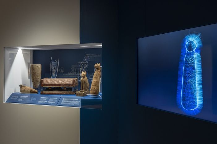 "Archeologia invisibile": prorogata fino al giugno 2020 la mostra al Museo Egizio "Archeologia invisibile": prorogata fino al giugno 2020 la mostra al Museo Egizio