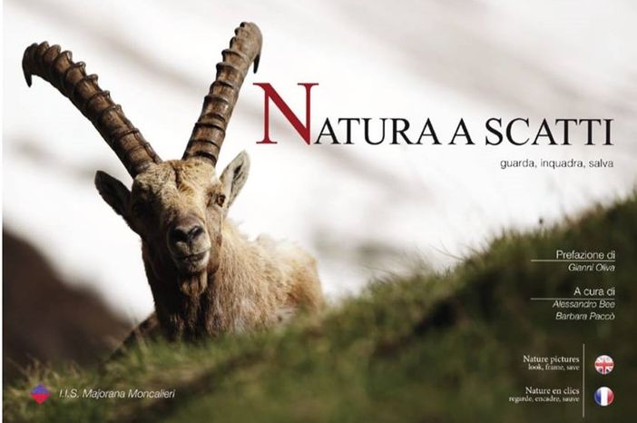 Due mostre si inaugurano stasera a Moncalieri Due mostre si inaugurano stasera a Moncalieri