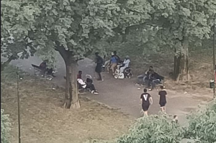 giardini con spacciatori giardini con spacciatori