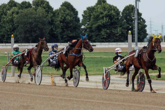 Ippodromo di Vinovo, sabato 7 novembre tutti in pista rispettando le regole Ippodromo di Vinovo, sabato 7 novembre tutti in pista rispettando le regole