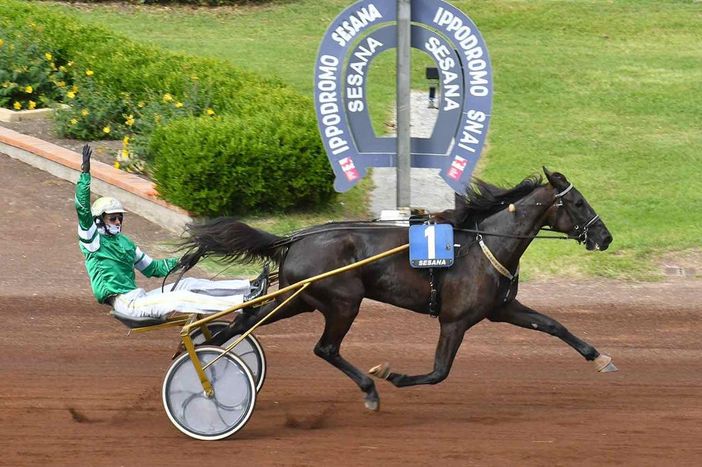 Blackflash Bar in un'immagine di repertorio