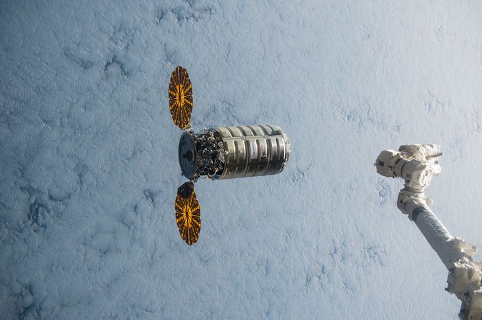 Un altro &quot;Cigno&quot; torinese in viaggio verso la Stazione Spaziale Internazionale per scoprire come si coltivano i ravanelli tra le stelle