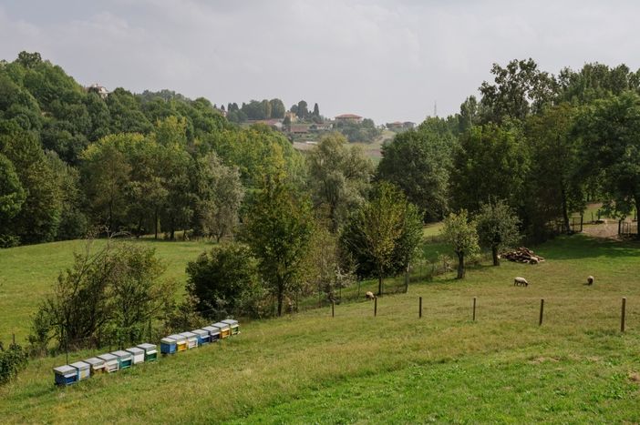 La richiesta di Coldiretti Piemonte: &quot;Utilizzare le fattorie didattiche per lezioni nella natura”