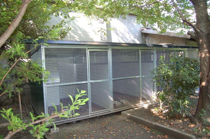 Le gabbie in via Ravenna