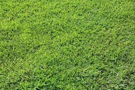 Resta in standby la situazione di degrado delle aree verdi di Corso Sebastopoli e Corso Siracusa