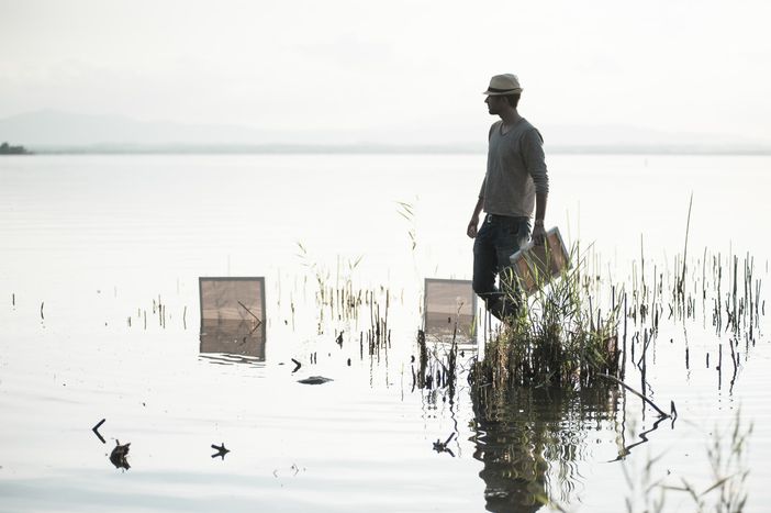 Wild Mazzini si prepara ad accogliere le Naturografie di Roberto Ghezzi