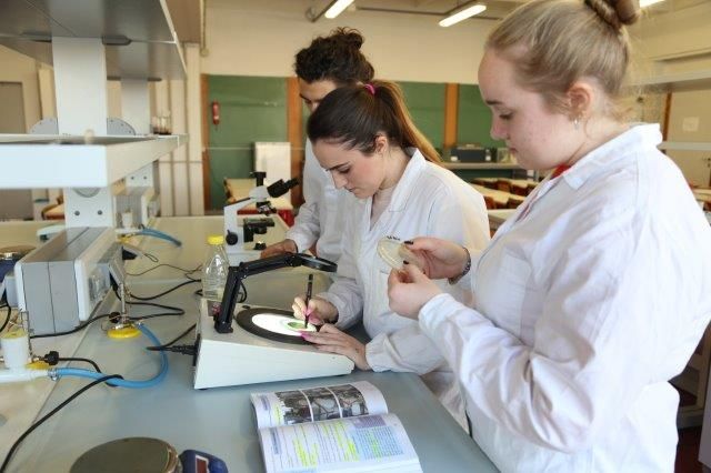 Fiera A&T 2019: Premio Innovazione 4.0 all’ITIS Pininfarina di Moncalieri Fiera A&T 2019: Premio Innovazione 4.0 all’ITIS Pininfarina di Moncalieri