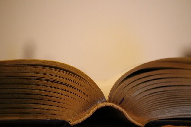 Gli autori di Leggermente per &quot;Torino che legge&quot;: anche un aspirante Premio Strega