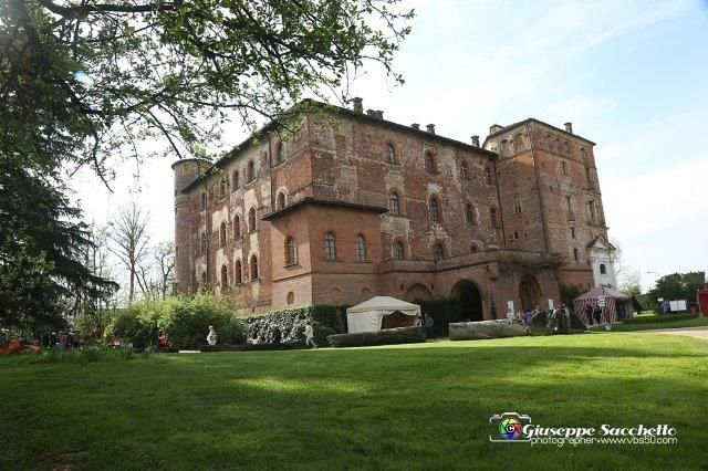 Messer Tulipano rende omaggio a Leonardo Da Vinci Messer Tulipano rende omaggio a Leonardo Da Vinci