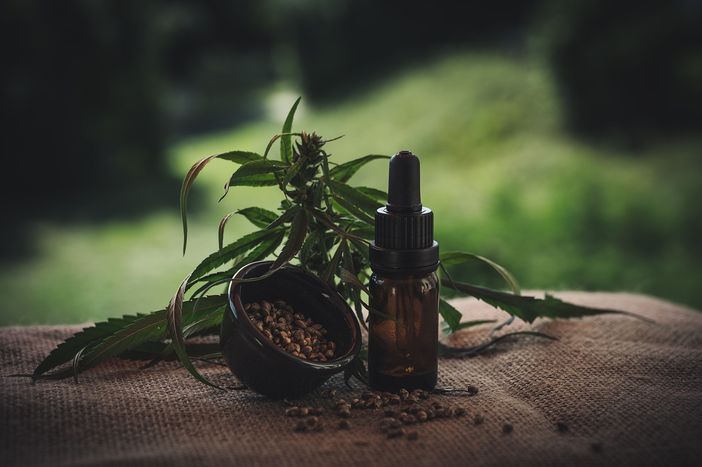 Olio di CBD: come sceglierlo ed utilizzarlo per trarne beneficio