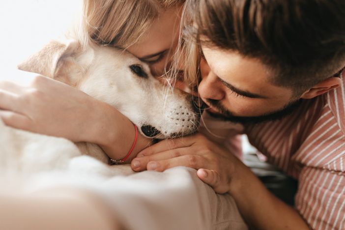 Quattrozampeinfamiglia: quando il web aiuta le adozioni di cani e gatti Quattrozampeinfamiglia: quando il web aiuta le adozioni di cani e gatti
