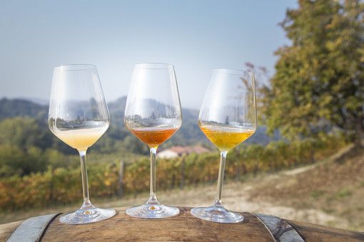 Sport e alimentazione: quando il miele è la risposta Sport e alimentazione: quando il miele è la risposta