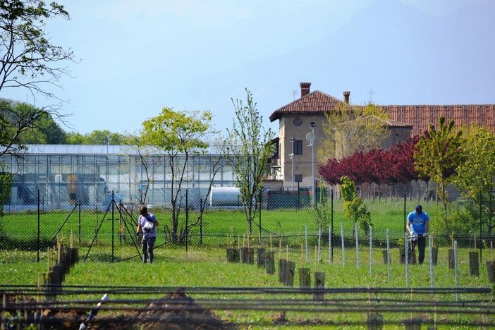Area "Settecampi", novità e conferme nel parco agroambientale di Grugliasco Area "Settecampi", novità e conferme nel parco agroambientale di Grugliasco