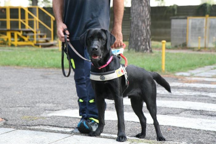 La ‘Febbre del venerdì sera’ porterà nel Pinerolese un nuovo cane guida