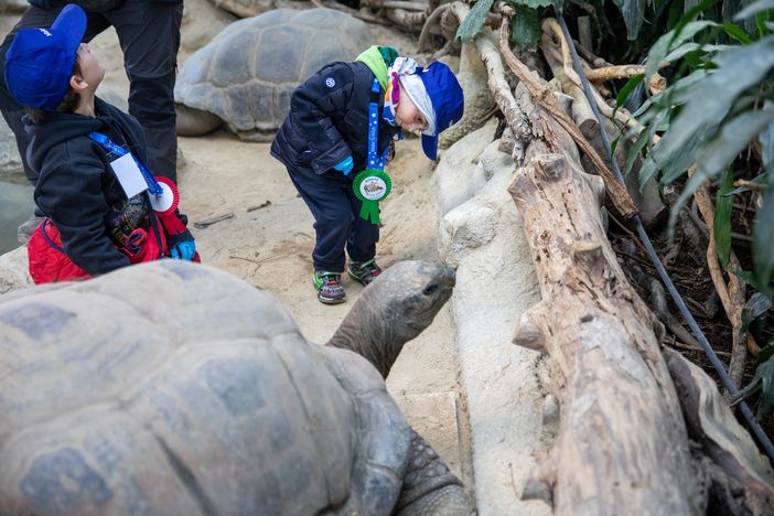 Il piccolo Alberto in visita a Zoom Il piccolo Alberto in visita a Zoom