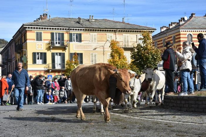 Luserna San Giovanni attende la carica dei 4 mila e adegua il percorso